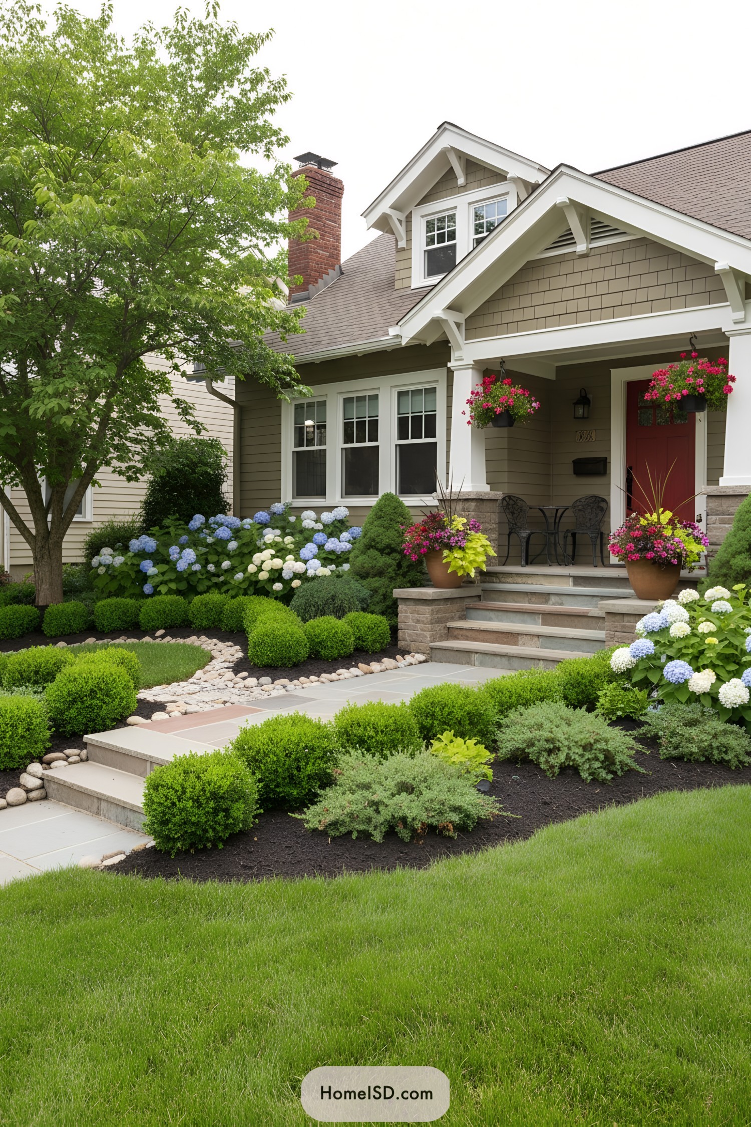 Neat bungalow front yard with hydrangeas