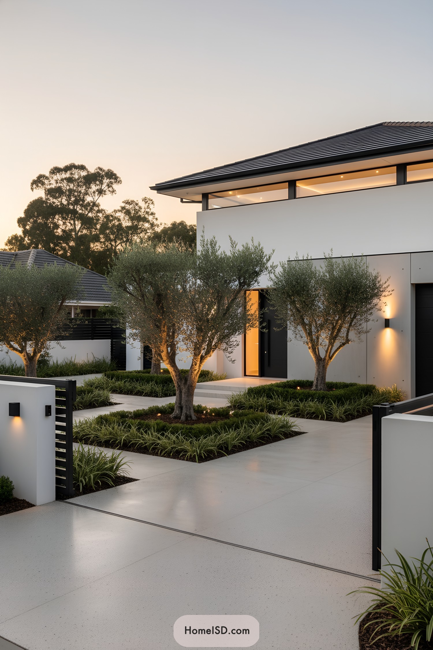 Modern white villa entry court with evenly spaced olive trees, manicured planting beds, and sleek concrete paths at dusk