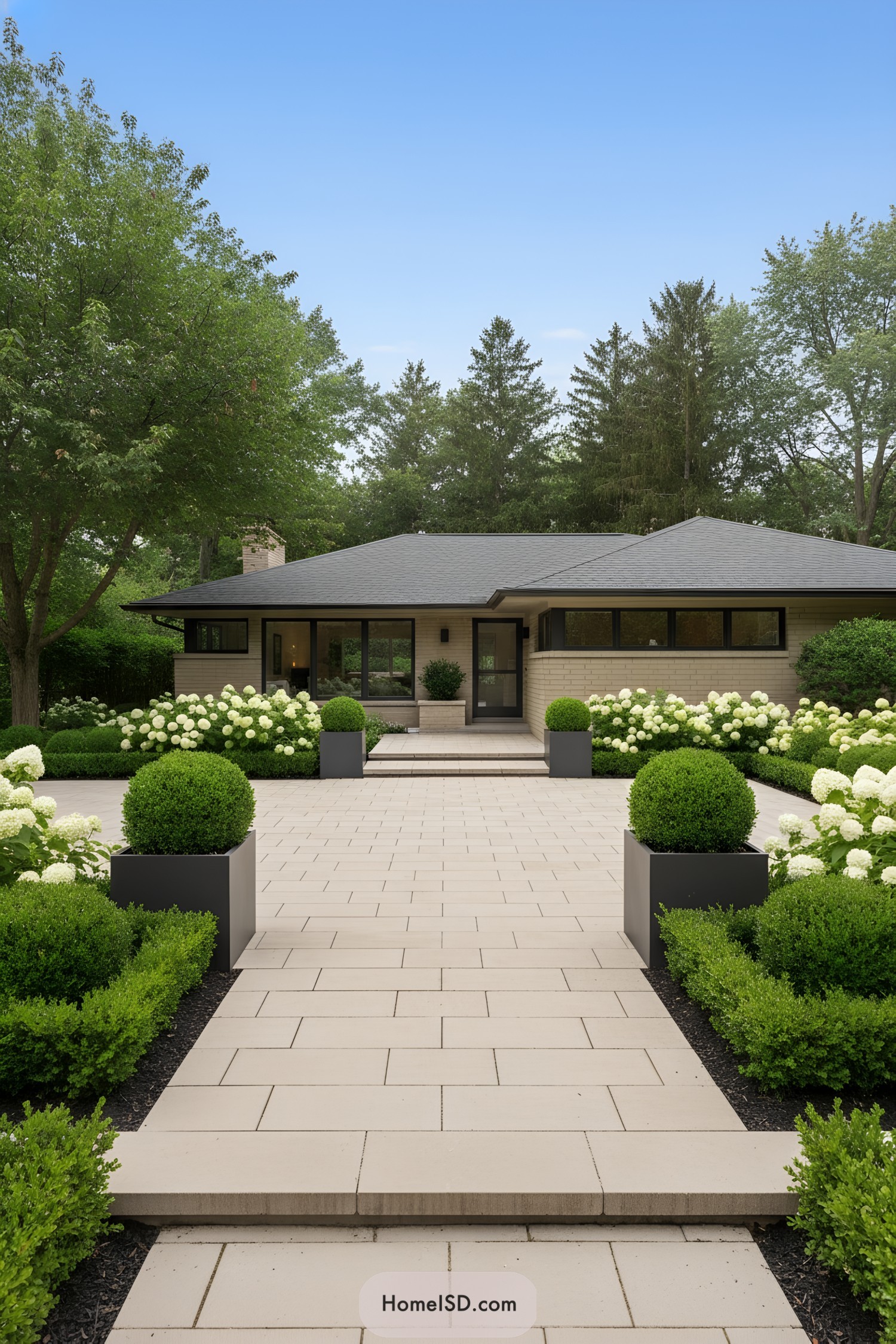 Modern front yard with pale paver walkway bordered by boxwood spheres and white hydrangeas