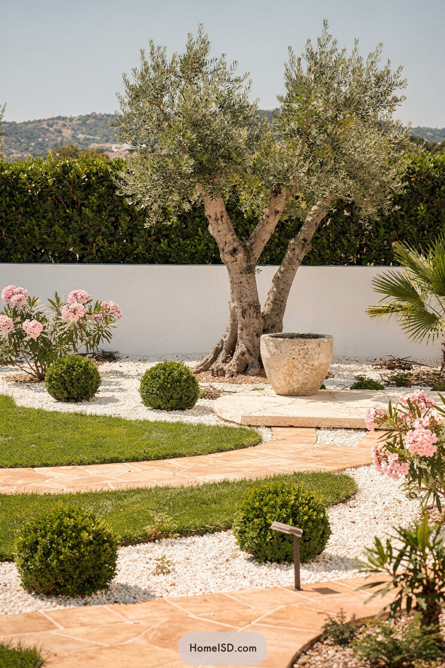 Olive tree garden with terracotta path and white gravel