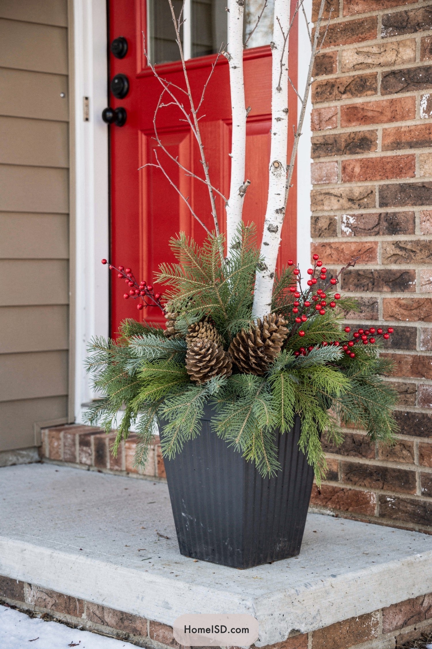Black planter with birch branches evergreens berries and pinecones beside a red front door