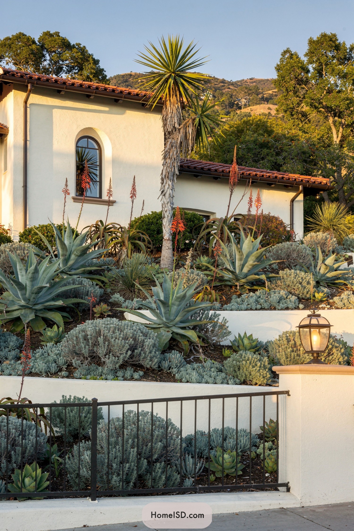 Terraced Mediterranean front yard with layered succulents, agaves, and a palm beside a stucco villa