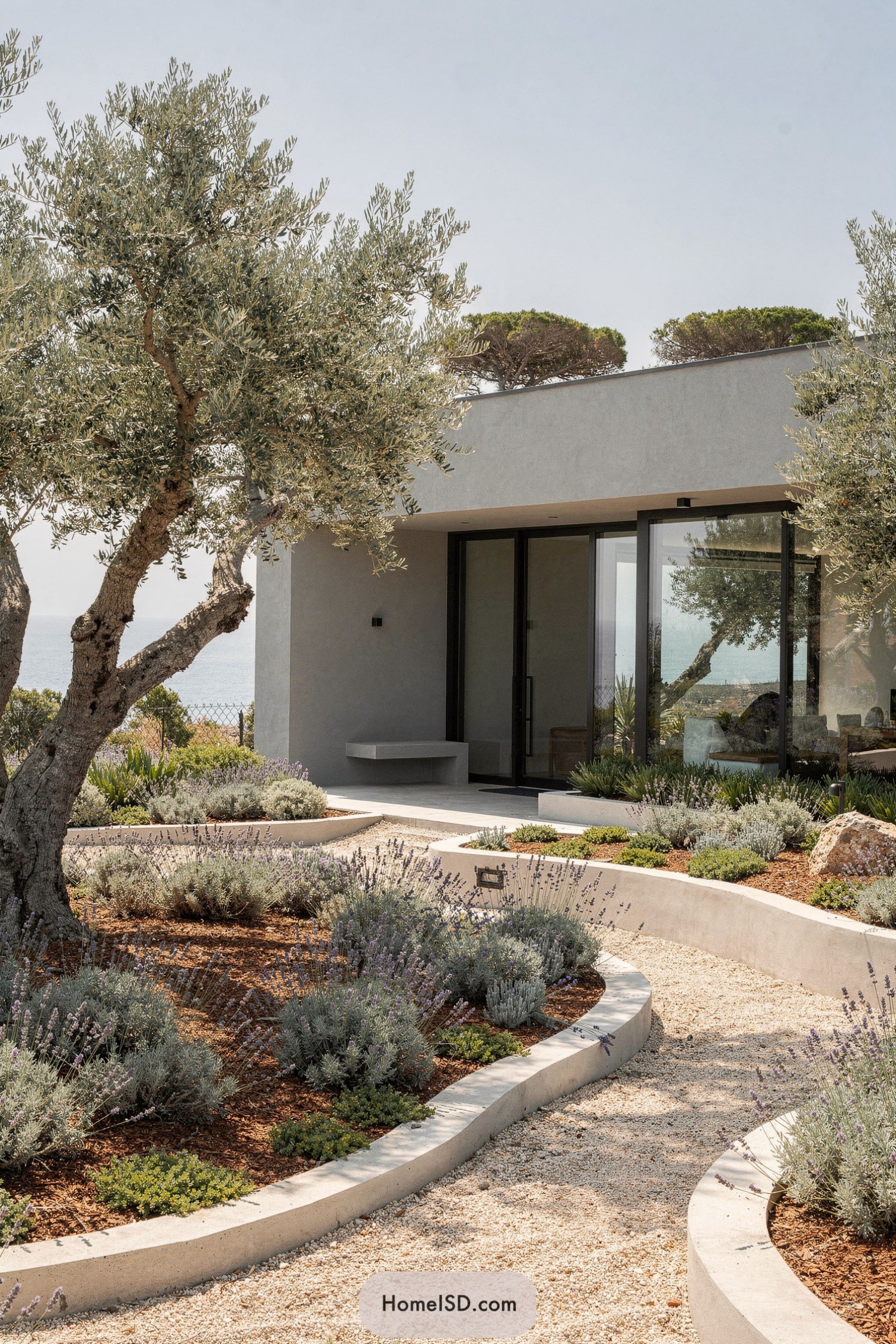 Modern Mediterranean front yard with curved gravel paths, low shrubs, and olive trees