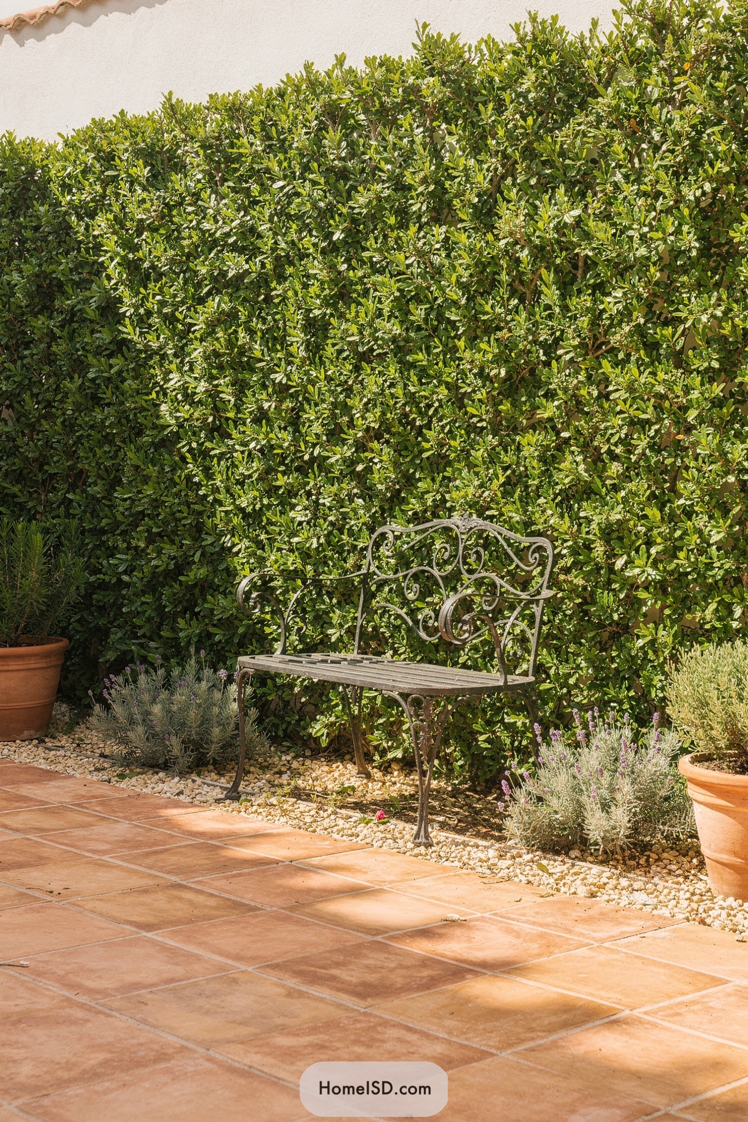 Metal garden bench in front of a tall green privacy hedge on a terracotta-tiled patio