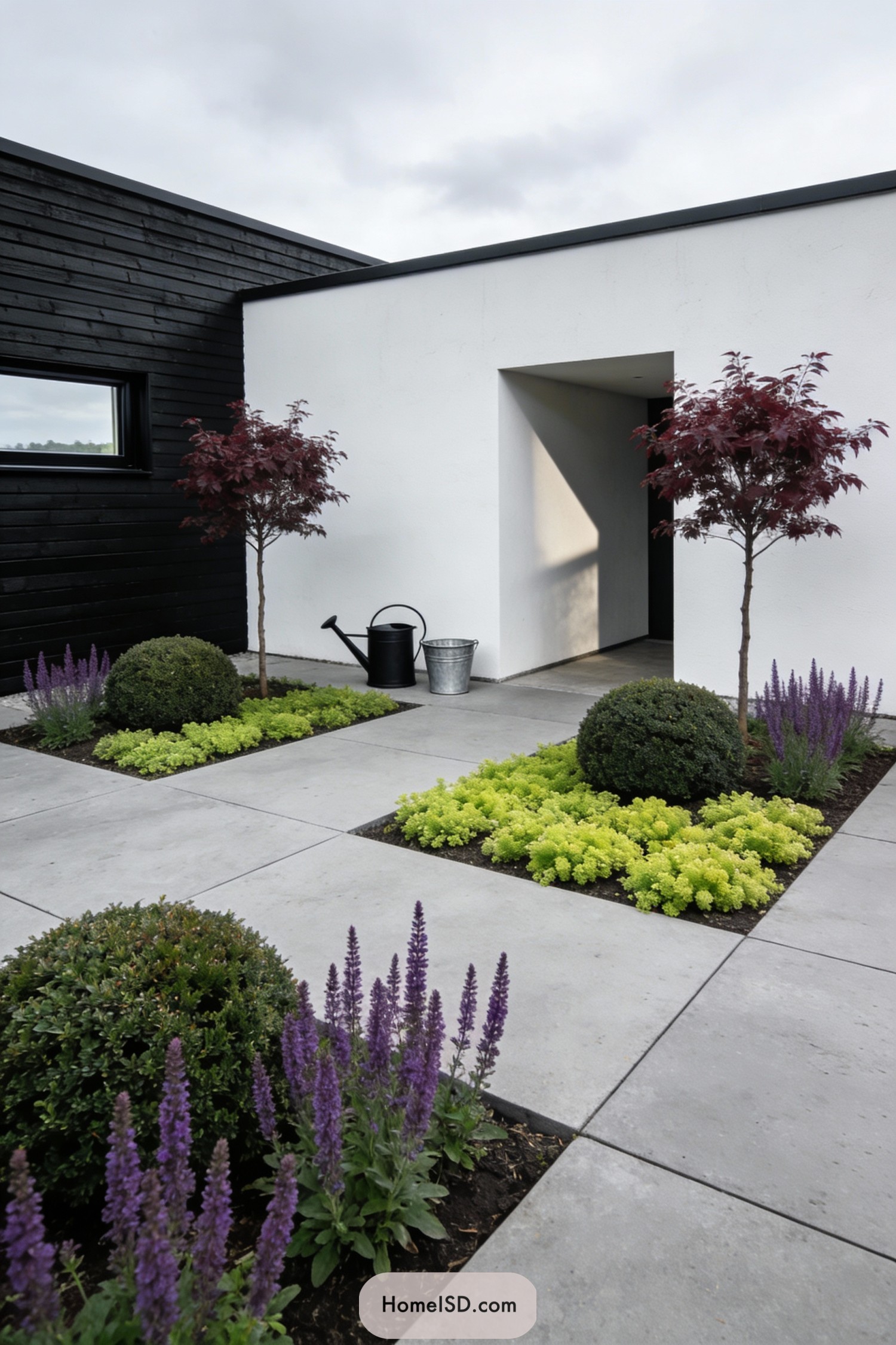 Minimalist courtyard with large concrete pavers, clipped shrubs, and bold contrasting plants against black and white house walls