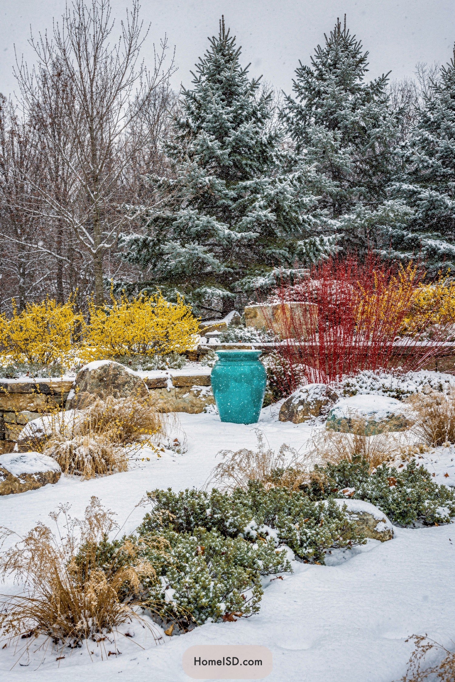 Snowy garden with turquoise urn and colorful shrubs