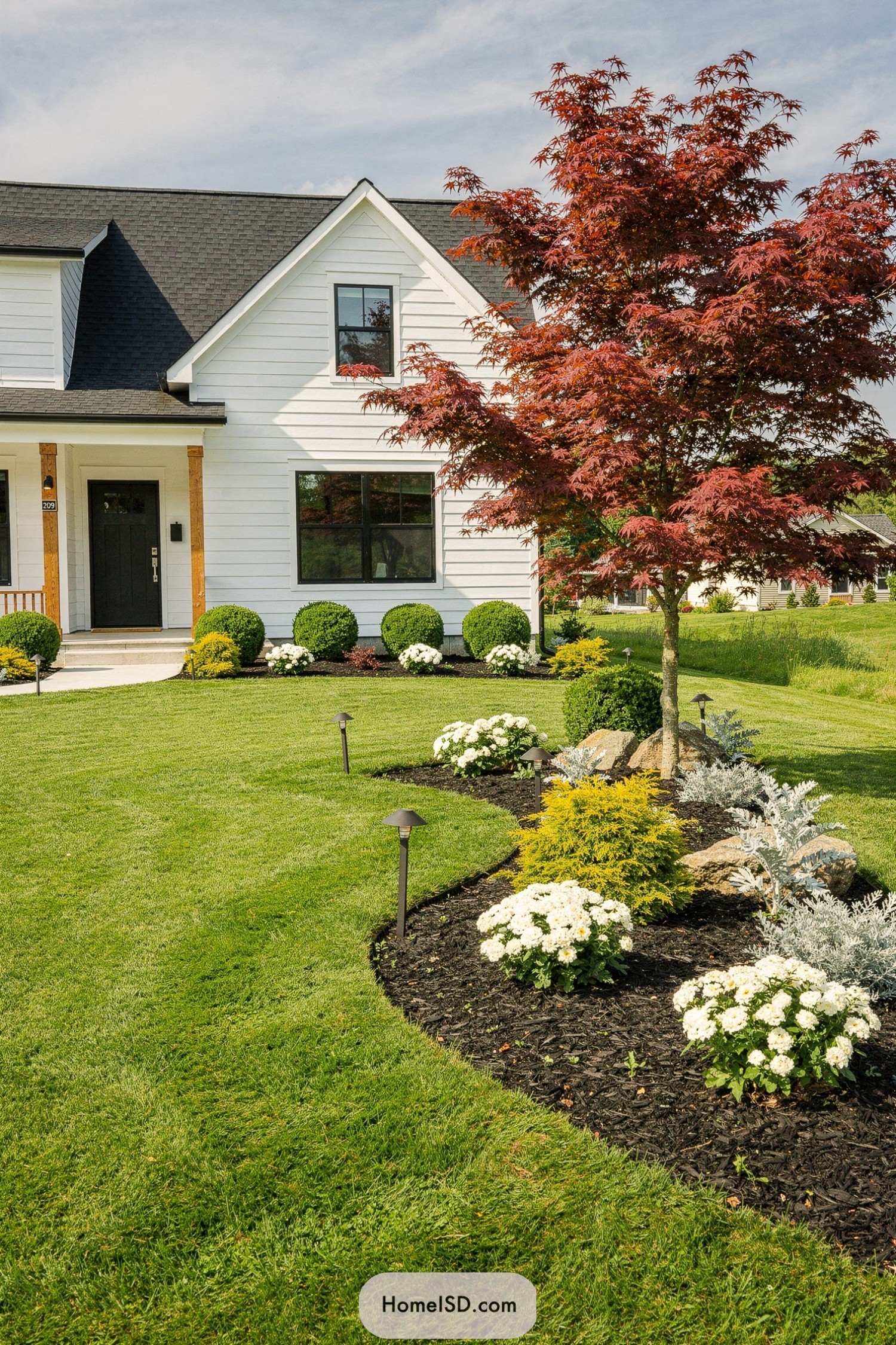 Red maple tree anchoring a curved mulched garden bed in front of a white farmhouse-style home