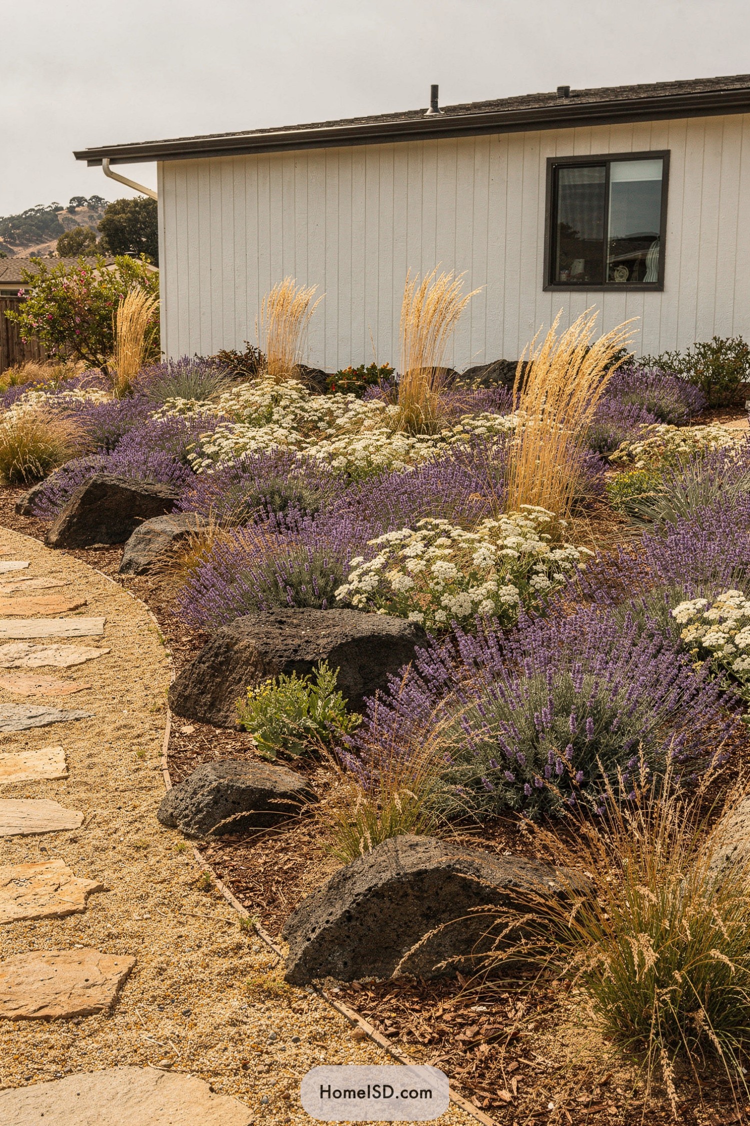 Drought-tolerant front yard with lavender, grasses, boulders, and a gravel stepping-stone path