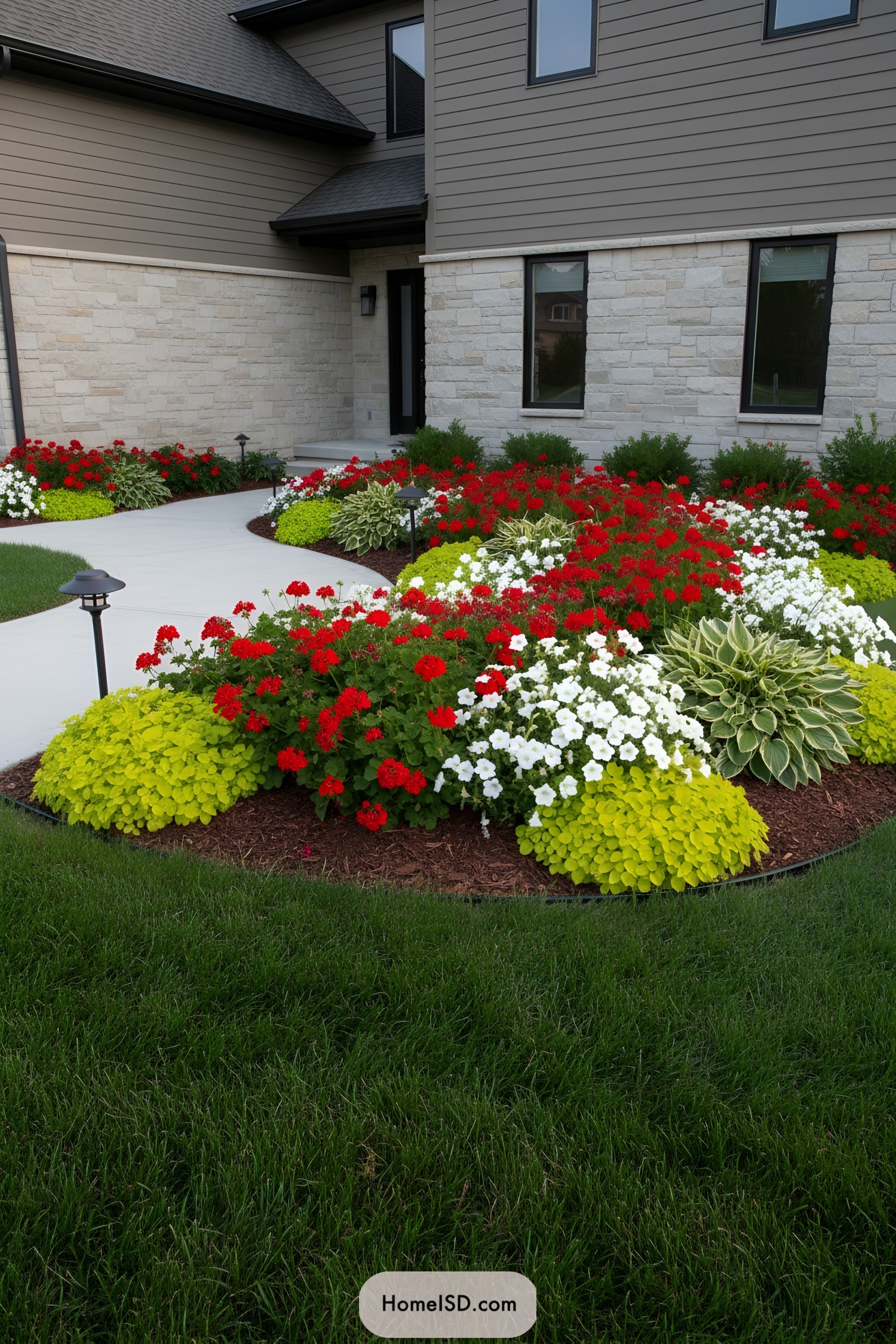 Curved front walkway bordered by bright red and white flowers with chartreuse foliage and hostas