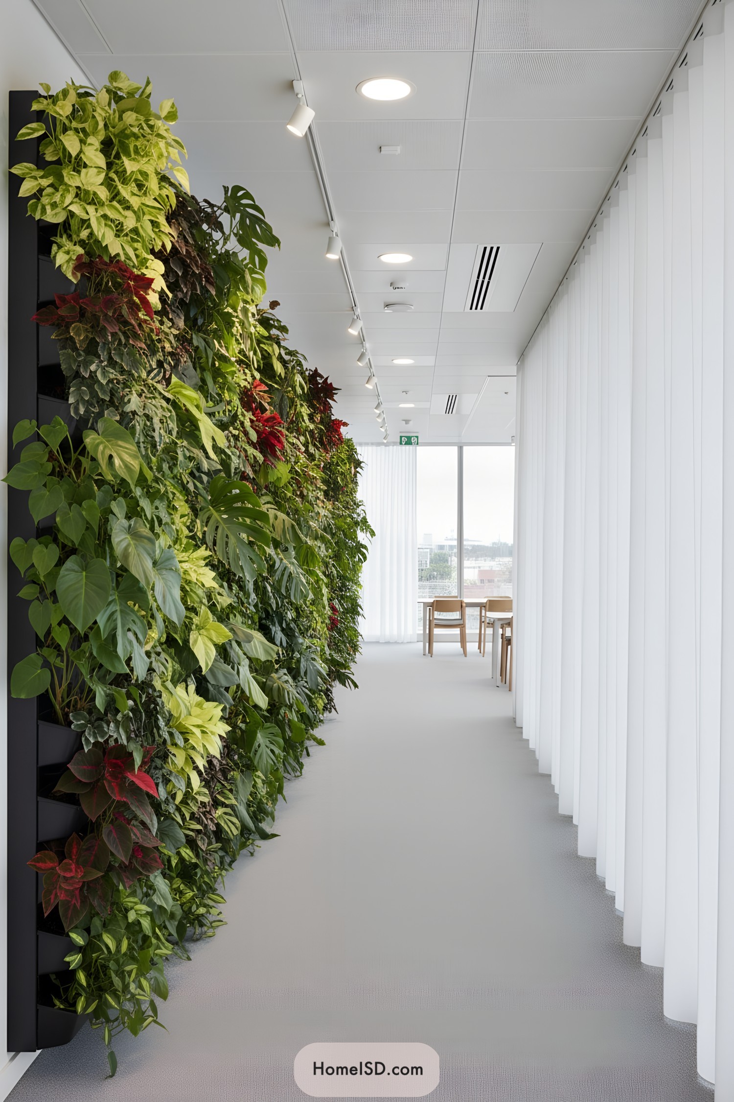 Tall living plant wall lining a bright modern hallway