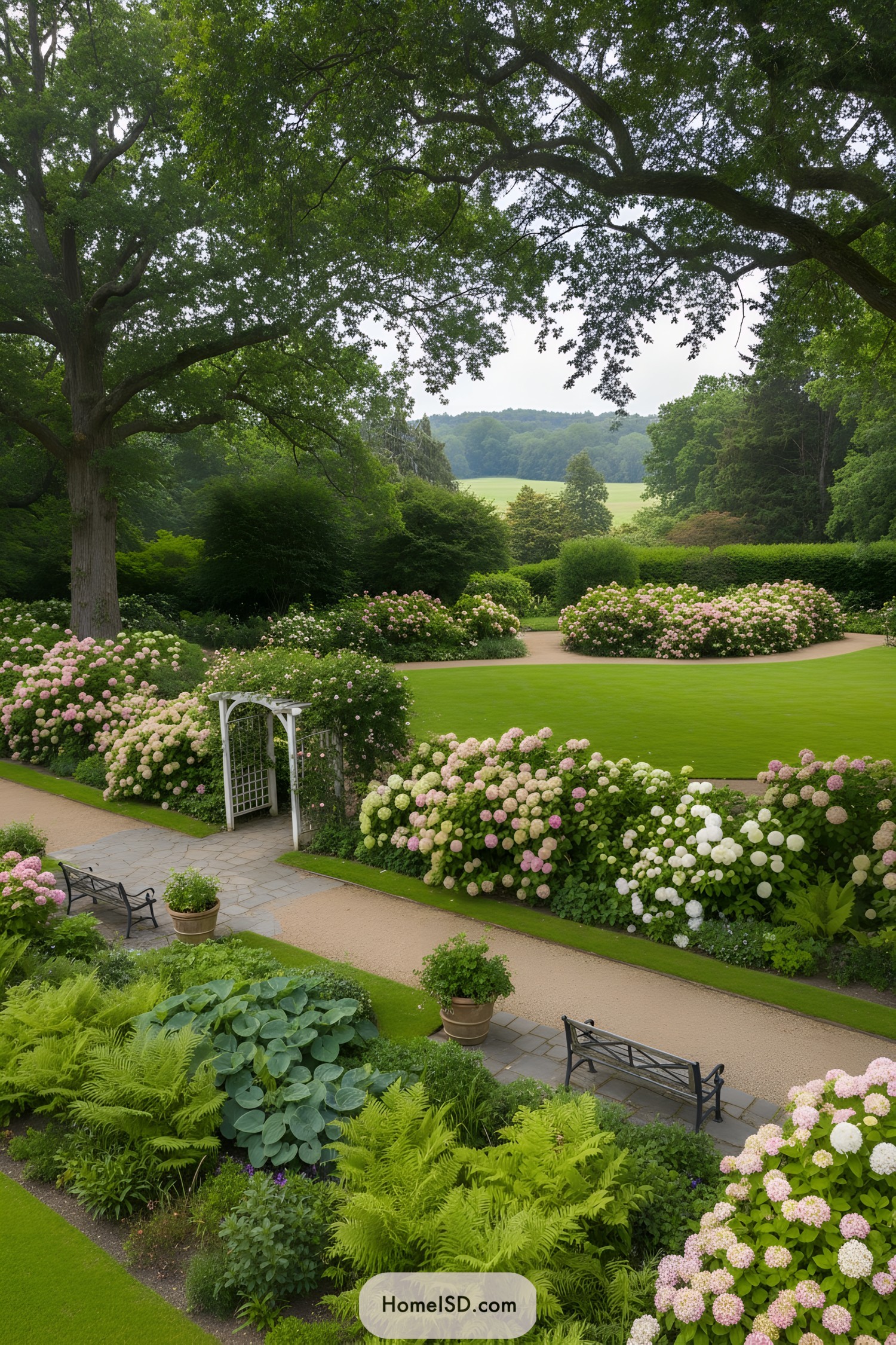 Formal lawn garden with curved hydrangea borders and seating