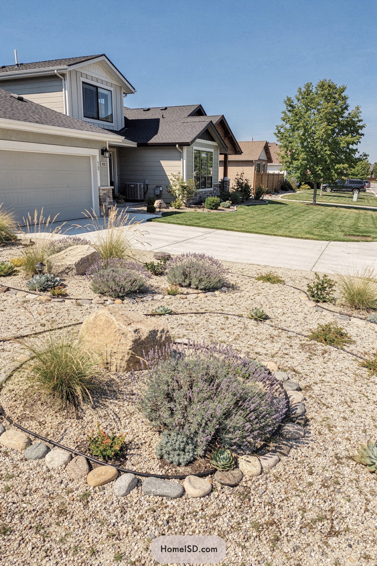 Gravel front yard with drought tolerant plants